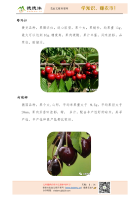 陜西沃果車?yán)遄臃N苗品種簡介