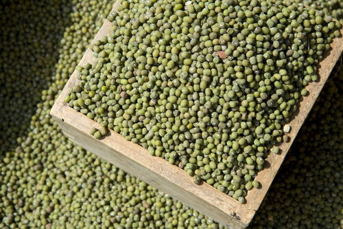 地理老師雷亞鳴 陜西11個產(chǎn)品納入中歐地理標(biāo)志協(xié)定,快看看有沒有你家鄉(xiāng)特產(chǎn)